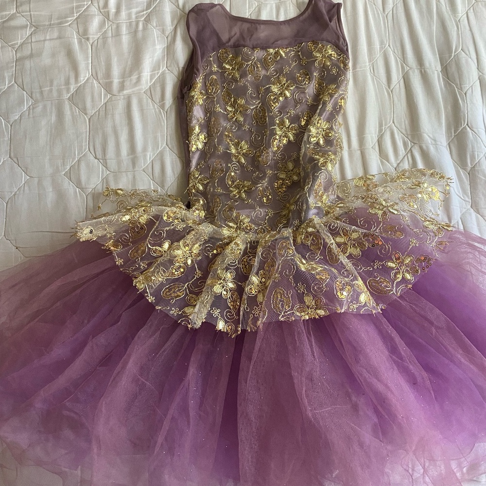 Purple and Gold Ballet Tutu (Weissman RN 64830